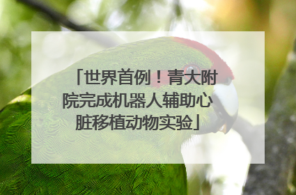 世界首例！青大附院完成机器人辅助心脏移植动物实验